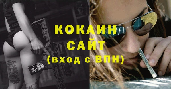 прущие грибы Кинешма